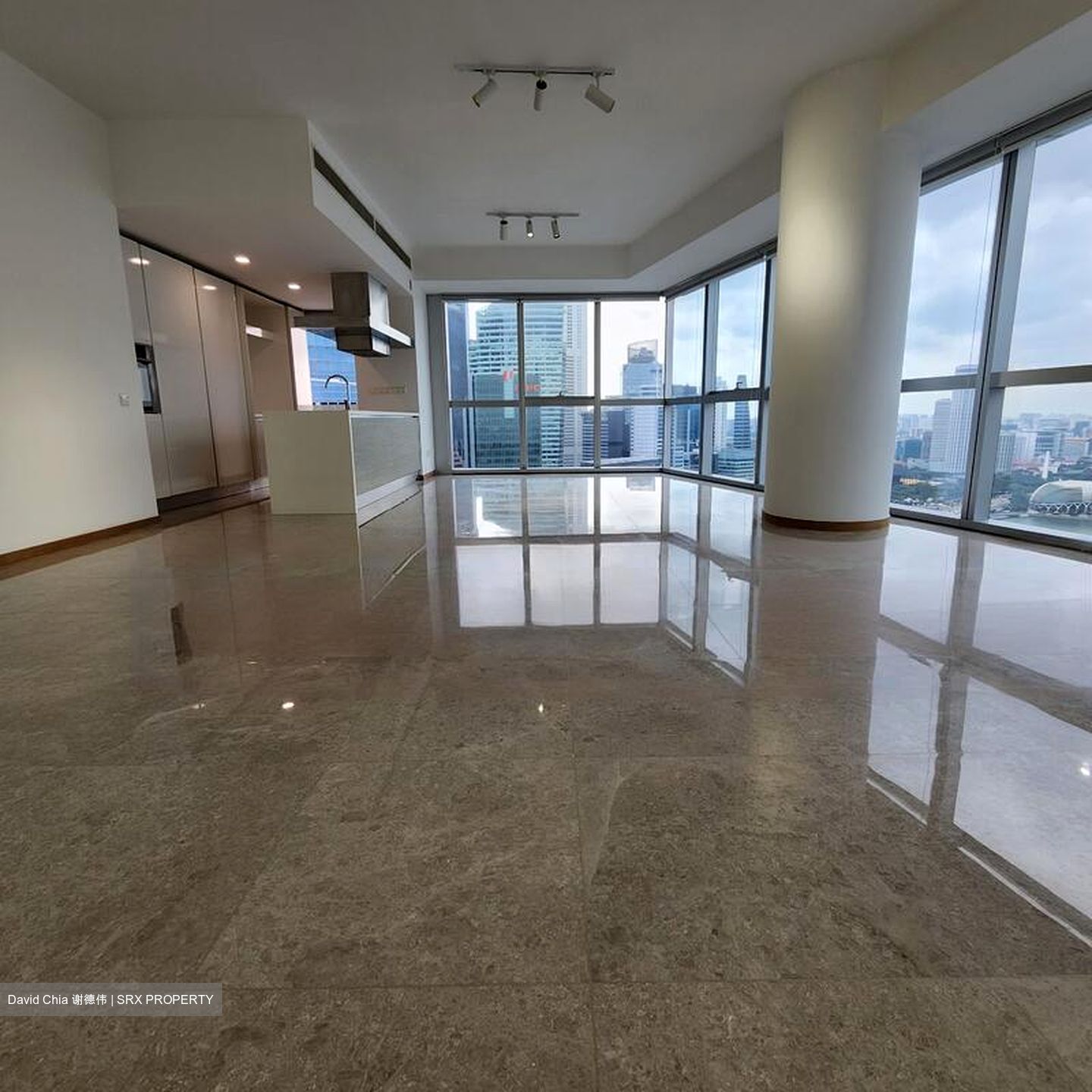 Marina Boulevard (D1), Condominium #467595991